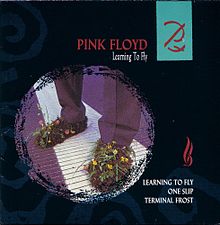Pink Floyd – Learning To Fly